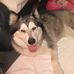 Trevor Spink - Facebook
