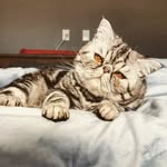 Trevor - @___trevor_sterling___ - Instagram
