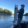 Trevor - @trevor_still - TikTok