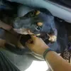 Trevor Storman - @trevor.storman - TikTok