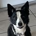 Trevor Swain - Facebook