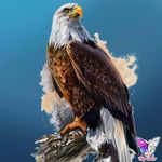 Trevor Swain - @tr.ev650 - Instagram