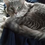 Trevor Swope - @tdsw.ope - Instagram