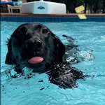 Trevor Temple - @trevortemple15 - Instagram