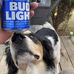 Trevor Temple - Facebook