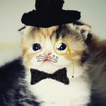 Trevor Thacker - @skitty1111 - Instagram