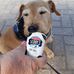 Trevor Wade - Facebook