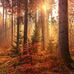 Trevor Warner - Facebook