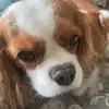 Trevor.way16 - @trevor.way16 - TikTok