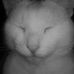 Trevor Webster - Facebook