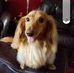 Trevor Weeks - Facebook