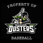 Trevor Weir Coach/Coordinator - @dustersbaseball_regina - Instagram