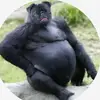 Trevor Weire - @trevorweire - TikTok