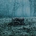 trevor wells - @trevorswell - Instagram