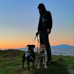 Trevor Westervelt - @dogfather85 - Instagram