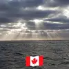 Trevor Whiting - @trevor.whiting - TikTok