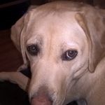 @trevorwhiting - Instagram