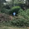 Just me - @trevorwilcox82 - TikTok