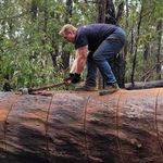 Trevor Wilkinson - @grimm_the_great - Instagram