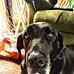 Trevor Wilkinson - Facebook
