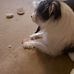 Trevor Wilkinson - Facebook