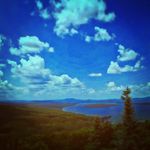 Trevor Wilkinson - @trevor_wilkinson08 - Instagram