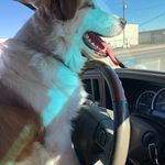 Trevor Willard - @trevor_willard - Instagram