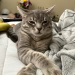 @treyallison3 - Instagram