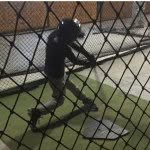 Trey Andrews - @treyandrews2006 - Instagram