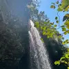 Trey Bauer - @treybauer77 - TikTok