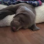 Trey Becker - @treybeckerr - Instagram
