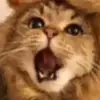 user4833630156728 - @treyblunt - TikTok