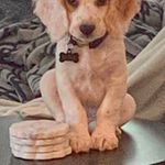 Trey Bowen - @treybowen - Instagram