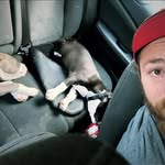 Trey Copeland - @treycopeland13 - Instagram