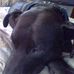 Trey Dotson - Facebook