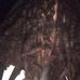 Trey Dotson - Facebook