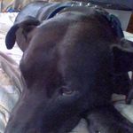 Trey Dotson - @dotty_dotson - Instagram
