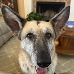 Trey Fuller - @trey.fuller.92 - Instagram