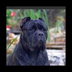Trey Gates - Facebook