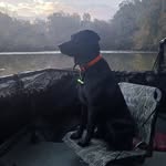 Trey Gordon - @treygordon68 - Instagram