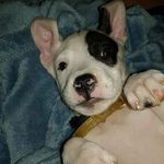 Trey Gordon - @trey.gordon.334 - Instagram