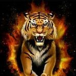 Trey Hatton - Facebook