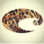 Trey Higgins - @treyhiggins3 - Instagram