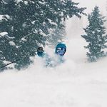 Trey Higgins - @treyhiggs - Instagram