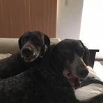 Trey Holt - Facebook