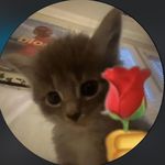 Trey Lofton - @trey12345643 - Instagram