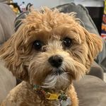 Trey Lofton - @lofton.trey - Instagram