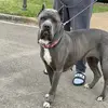 Treyluke_III - @treyluke_iii - TikTok