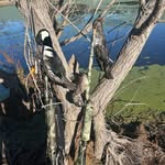 Trey mansfield - @trey431225 - Instagram