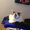 Trey Mansfield - @trey.mansfield - TikTok
